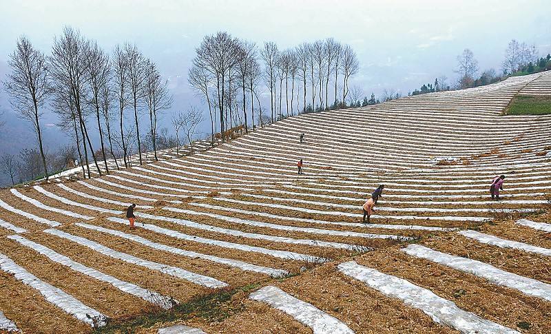 首页|bifa必发集团中国官方网站