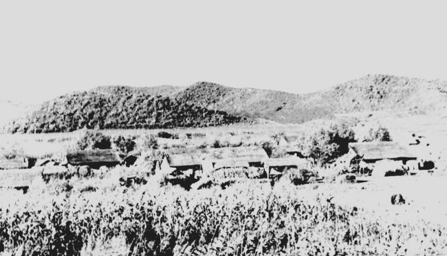 首页|bifa必发集团中国官方网站